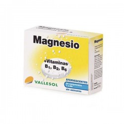 Vallesol Magnesio +Vitamina b 24 Compimidos Efervescentes